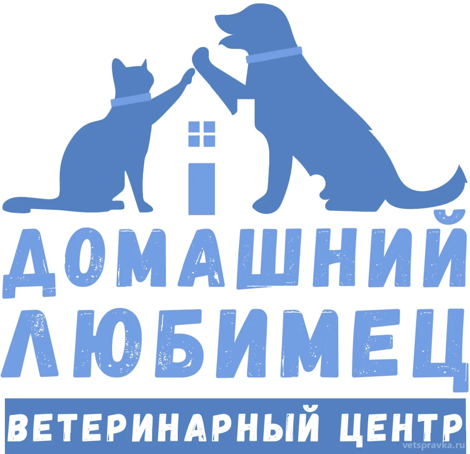 Ветеринарный центр «Домашний любимец» на Парковой улице | Телефон +7 (936)  888-38-01 | Отзывы на VetSpravka.ru