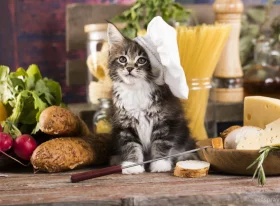 Какие витамины нужны кошке?