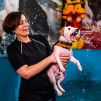 Центр реабилитации животных Дог Паласс Фото 2 на проекте VetSpravka.ru Центр реабилитации животных Дог Паласс Фото 2 на проекте VetSpravka.ru