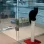 Гостиница для кошек Чёрный Кот в 3-м Силикатном проезде Фото 2 на проекте VetSpravka.ru