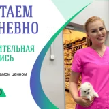 Ветеринарная клиника Ратель Фото 2 на проекте VetSpravka.ru