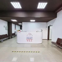 Ветеринарная клиника Смарт Вет Фото 2 на проекте VetSpravka.ru Ветеринарная клиника Смарт Вет Фото 2 на проекте VetSpravka.ru