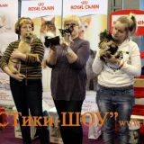 Клуб любителей животных БЭСТики Фото 2 на проекте VetSpravka.ru