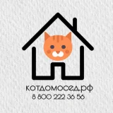 Выездная служба по уходу за животными Кот Домосед  на проекте VetSpravka.ru