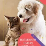 Ветеринарный центр ВЕТ ЭРИА Фото 2 на проекте VetSpravka.ru