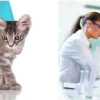 Ветеринарная клиника Синичка на проекте VetSpravka.ru Ветеринарная клиника Синичка на проекте VetSpravka.ru
