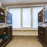 Ветеринарная клиника Doc&Dog Фото 2 на проекте VetSpravka.ru Ветеринарная клиника Doc&Dog Фото 2 на проекте VetSpravka.ru