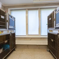 Ветеринарная клиника Doc&Dog Фото 2 на проекте VetSpravka.ru Ветеринарная клиника Doc&Dog Фото 2 на проекте VetSpravka.ru