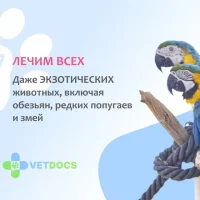Ветеринарная служба Vetdocs на Угрешской улице Фото 2 на проекте VetSpravka.ru Ветеринарная служба Vetdocs на Угрешской улице Фото 2 на проекте VetSpravka.ru