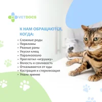 Ветеринарная служба Vetdocs на Егорьевском шоссе Фото 2 на проекте VetSpravka.ru Ветеринарная служба Vetdocs на Егорьевском шоссе Фото 2 на проекте VetSpravka.ru