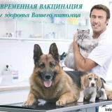 Ветеринарная клиника ВетОтвет Фото 2 на проекте VetSpravka.ru