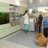 Выездная ветеринарная служба Айболит на Профсоюзной улице Фото 2 на проекте VetSpravka.ru