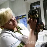 Ветеринарная клиника Берег на проспекте Ленинского Комсомола Фото 2 на проекте VetSpravka.ru