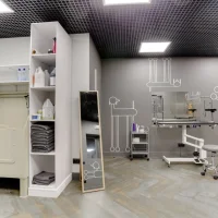 Груминг-салон Barberdog в Лапино Фото 2 на проекте VetSpravka.ru Груминг-салон Barberdog в Лапино Фото 2 на проекте VetSpravka.ru