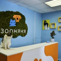 Гостиница для животных Зооняня Фото 2 на проекте VetSpravka.ru Гостиница для животных Зооняня Фото 2 на проекте VetSpravka.ru