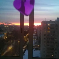 Зоомагазин на улице Медиков Фото 2 на проекте VetSpravka.ru Зоомагазин на улице Медиков Фото 2 на проекте VetSpravka.ru