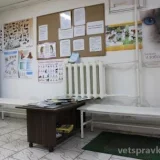 Ветеринарная клиника Каштанка на улице Металлургов Фото 2 на проекте VetSpravka.ru
