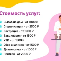 Вета на Дергаевской улице Фото 2 на проекте VetSpravka.ru