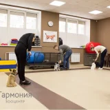 Зоопарикмахерская Гармония Фото 2 на проекте VetSpravka.ru