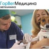 Ветеринарная клиника стерилизации животных Фото 2 на проекте VetSpravka.ru