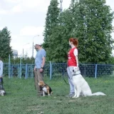 Школа дрессировки собак Пёсополис в Чечёрском проезде Фото 2 на проекте VetSpravka.ru