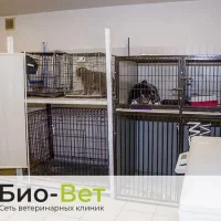 Ветеринарная клиника Биовет на улице Калинина Фото 2 на проекте VetSpravka.ru Ветеринарная клиника Биовет на улице Калинина Фото 2 на проекте VetSpravka.ru