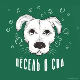 Зоопарикмахерская Пёсель в СПА  на проекте VetSpravka.ru
