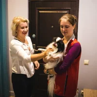 Сервис выгула и дрессировки собак Гульдог Фото 2 на проекте VetSpravka.ru