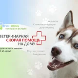 Выездная ветеринарная служба VETDOCS Фото 2 на проекте VetSpravka.ru