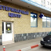 Ветеринарная клиника Ласка Фото 2 на проекте VetSpravka.ru Ветеринарная клиника Ласка Фото 2 на проекте VetSpravka.ru