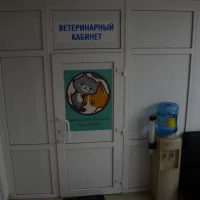 Ветеринарный кабинет №1 Фото 2 на проекте VetSpravka.ru