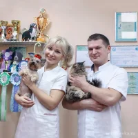 Ветеринарная клиника Семейный доктор Фото 2 на проекте VetSpravka.ru