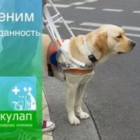 Ветеринарная клиника Эскулап логотип Ветеринарная клиника Эскулап логотип