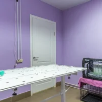 Ветеринарная клиника Лесной городок Фото 2 на проекте VetSpravka.ru Ветеринарная клиника Лесной городок Фото 2 на проекте VetSpravka.ru