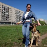 Дрессировка собак Фото 2 на проекте VetSpravka.ru