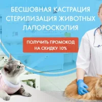Ветеринарный центр Зоомедик Фото 2 на проекте VetSpravka.ru Ветеринарный центр Зоомедик Фото 2 на проекте VetSpravka.ru