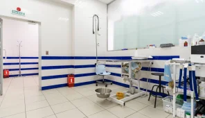 Ветеринарная клиника Пульс на Северном шоссе Фото 1 на проекте VetSpravka.ru