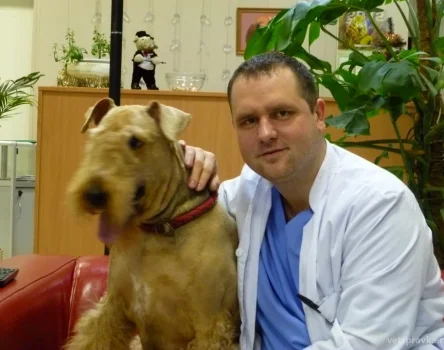 Выездная ветеринарная служба Айболит Фото 2 на проекте VetSpravka.ru