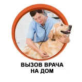 Ветеринарная клиника ВетДом Фото 2 на проекте VetSpravka.ru