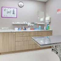 Центр ветеринарной медицины Аветтура Фото 2 на проекте VetSpravka.ru Центр ветеринарной медицины Аветтура Фото 2 на проекте VetSpravka.ru