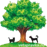 Ветеринарная клиника Вива  на проекте VetSpravka.ru