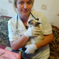 Выездная ветеринарная служба Вет-Ответ Фото 2 на проекте VetSpravka.ru