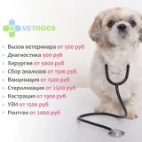 Ветеринарная клиника Vetdocs на Лихачёвском проспекте Фото 2 на проекте VetSpravka.ru