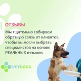 Ветеринарная клиника Vetdocs на Большой Серпуховской улице Фото 2 на проекте VetSpravka.ru