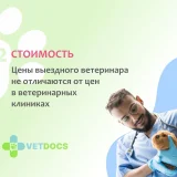 Ветеринарная клиника Vetdocs на улице Михалевича Фото 2 на проекте VetSpravka.ru