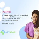 Ветеринарная клиника Vetdocs на Советской улице Фото 2 на проекте VetSpravka.ru
