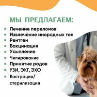 Ветеринарная служба Домашний ветеринар на Краснодарской улице Фото 2 на проекте VetSpravka.ru Ветеринарная служба Домашний ветеринар на Краснодарской улице Фото 2 на проекте VetSpravka.ru