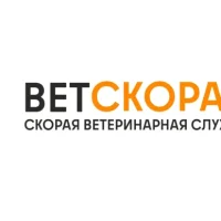 Ветеринарная служба ВетСкорая24 на улице Ленина Фото 2 на проекте VetSpravka.ru Ветеринарная служба ВетСкорая24 на улице Ленина Фото 2 на проекте VetSpravka.ru
