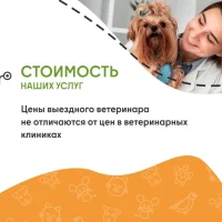 Ветеринарная служба ВетСкорая24 на Коммунистической улице Фото 2 на проекте VetSpravka.ru Ветеринарная служба ВетСкорая24 на Коммунистической улице Фото 2 на проекте VetSpravka.ru