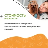 Ветеринарная служба ВетСкорая24 на улице Академика Грушина Фото 2 на проекте VetSpravka.ru